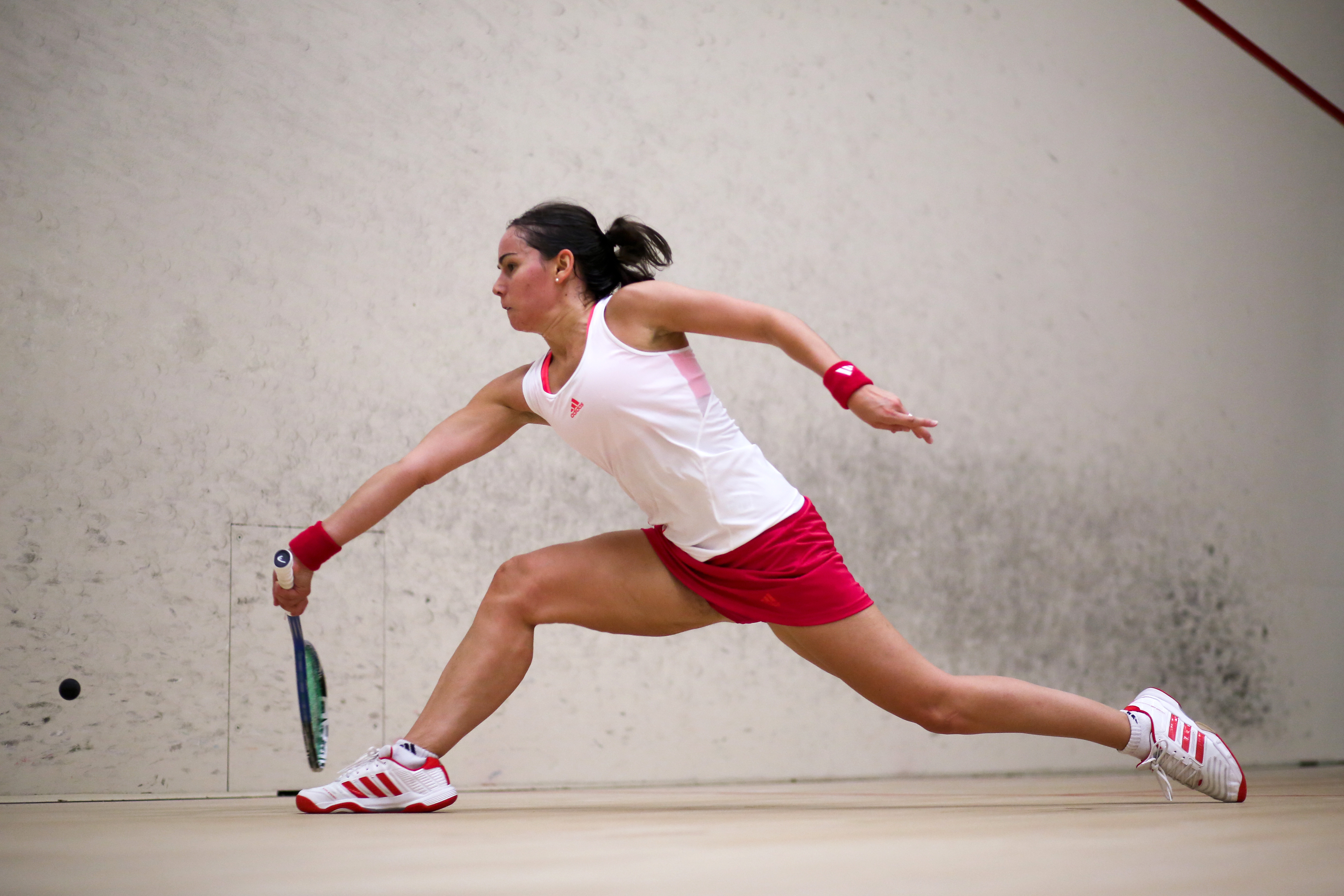 Forehand lunge in front corner (No - 112850779)